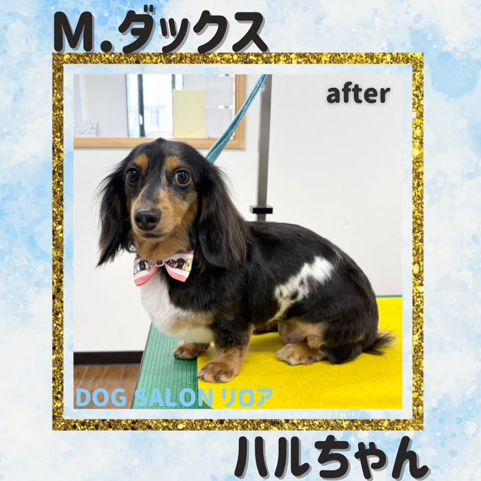 画像5855