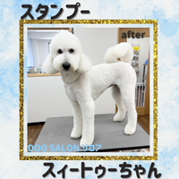 画像5861