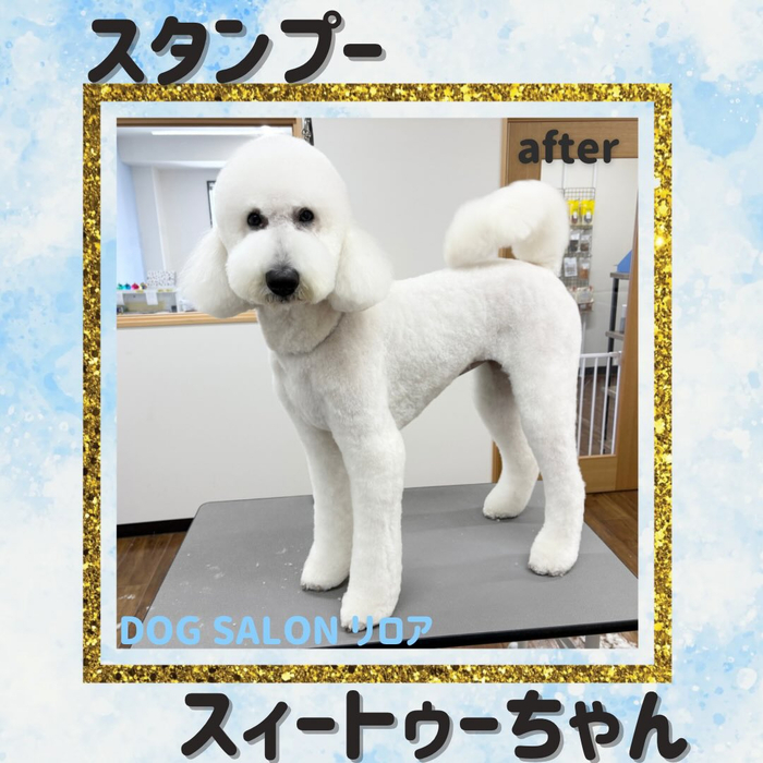 画像5861
