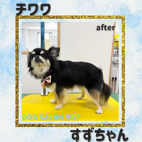 画像5867