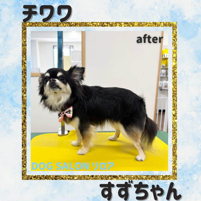 画像5867