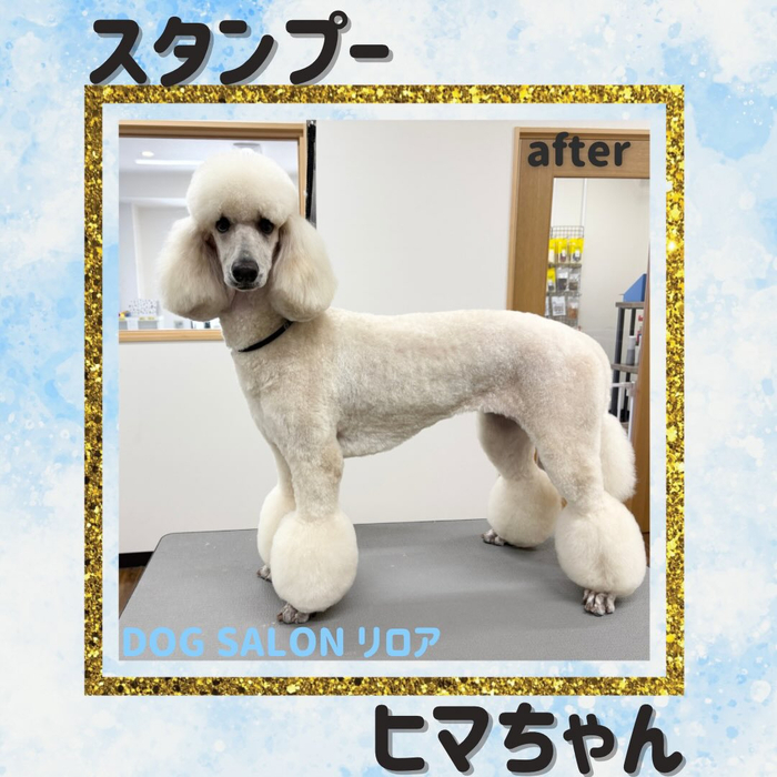 画像5881
