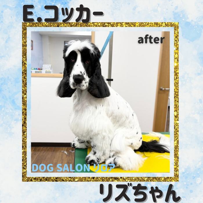 画像5893