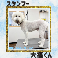 画像5899