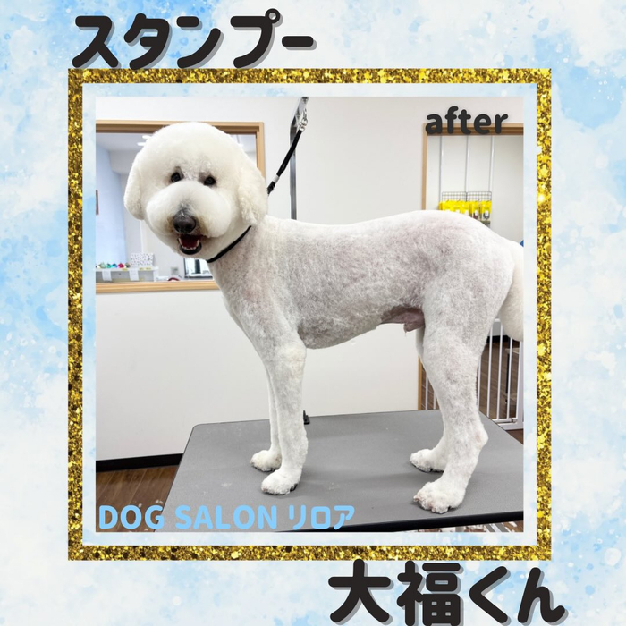 画像5899