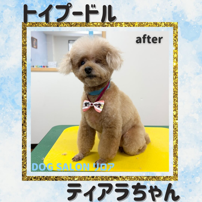 画像5912