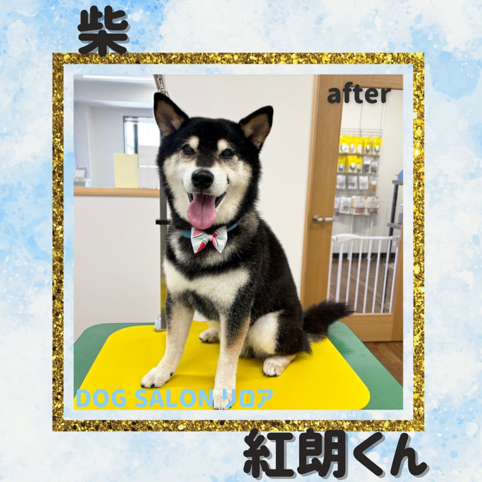 画像5918