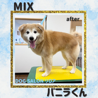 画像5924