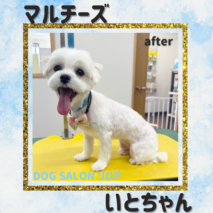 画像5930