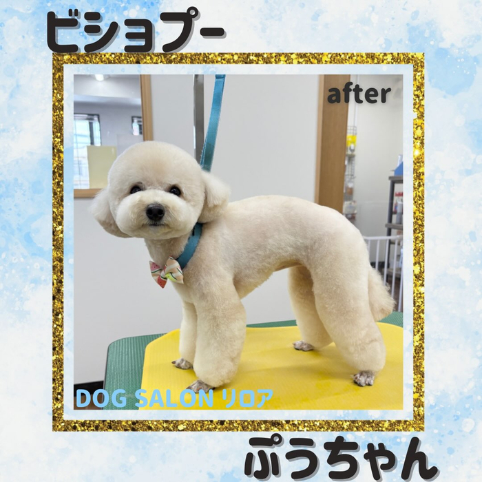 画像5936