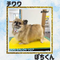 画像5942