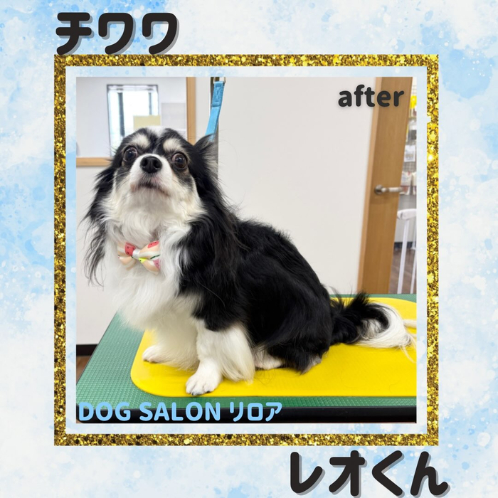 画像5948
