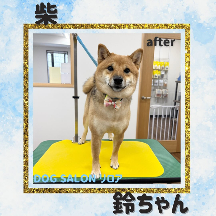 画像5973