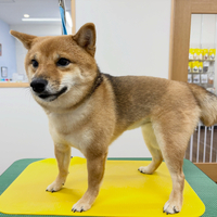 画像5976