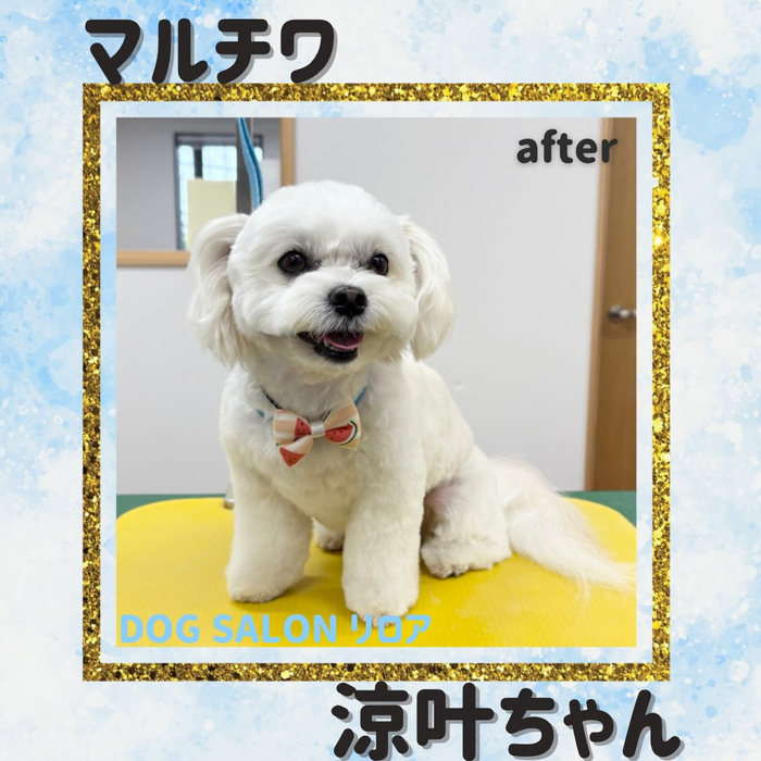 画像5985