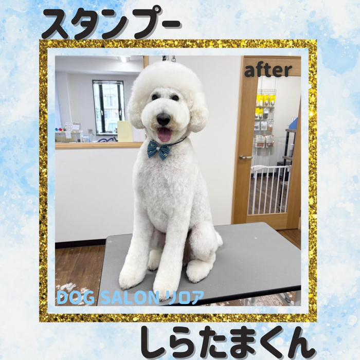 画像6016