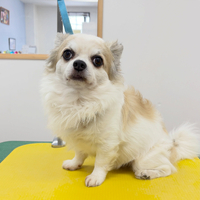 画像6039