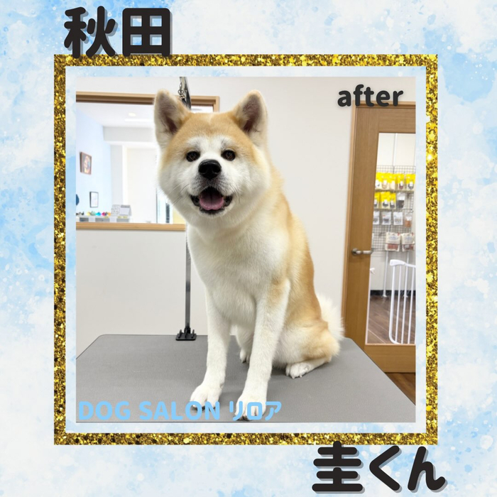 画像6055