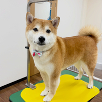 画像6076