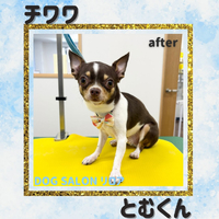 画像6086