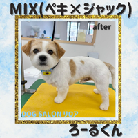画像609