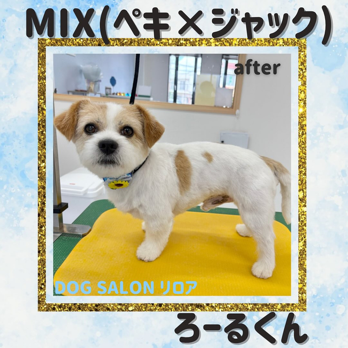 画像609