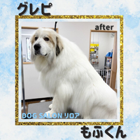 画像6110