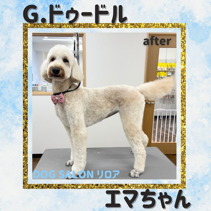 画像6117