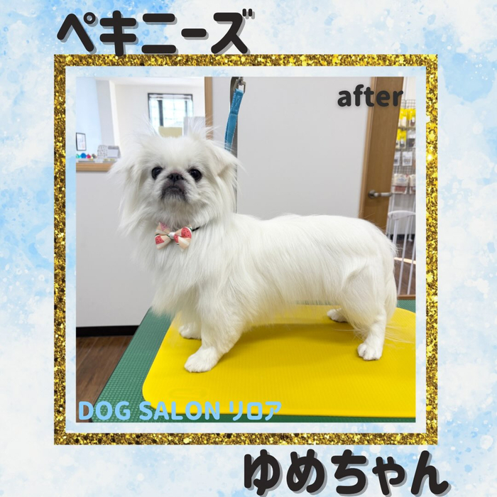 画像6147