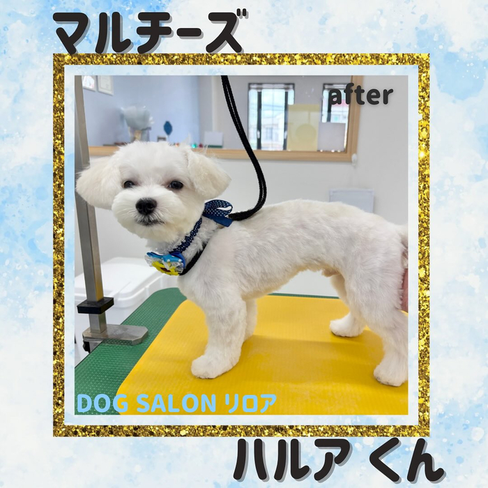 画像616