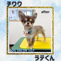 画像6223
