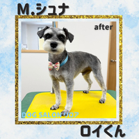 画像6236