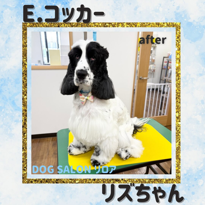 画像6242