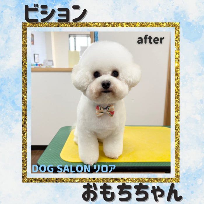 画像6248