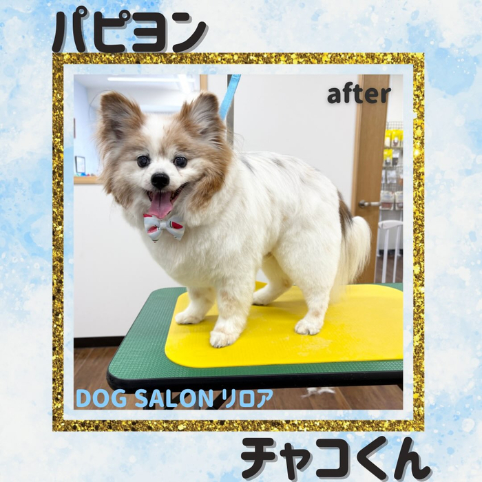 画像6254