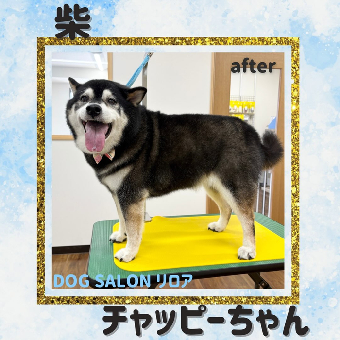 画像6291
