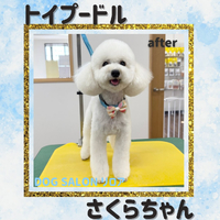 画像6297