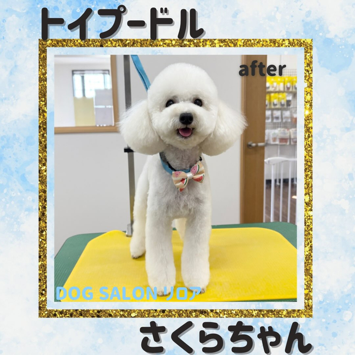 画像6297