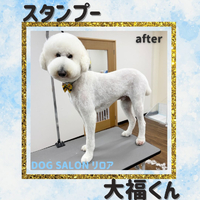 画像6357