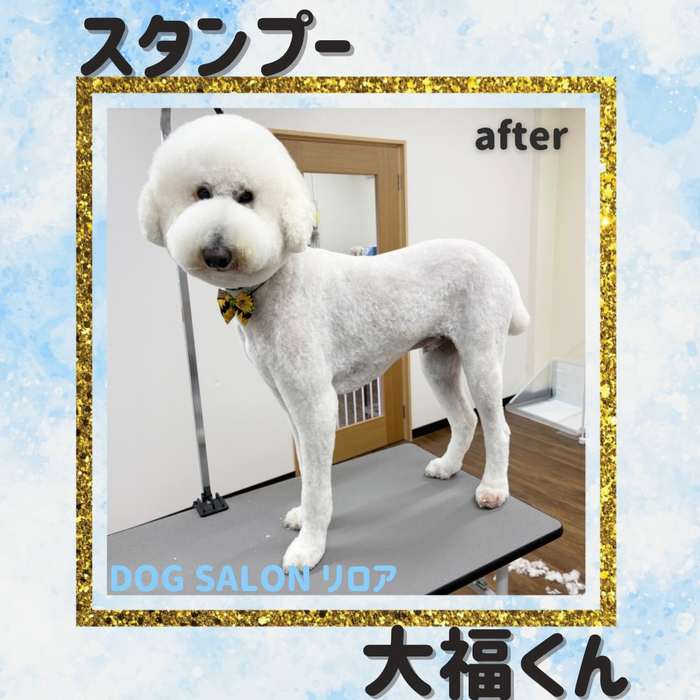 画像6357