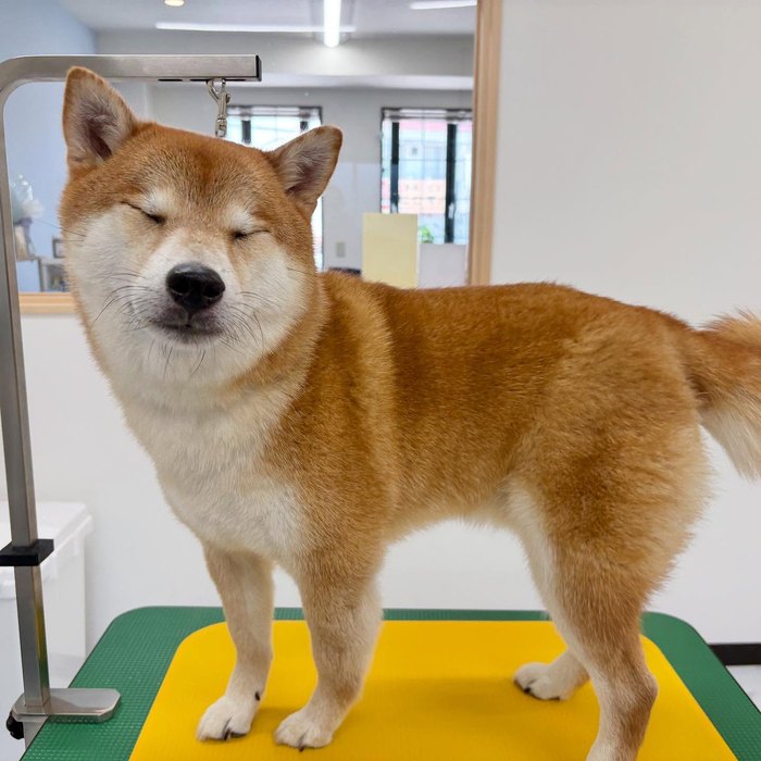 画像636