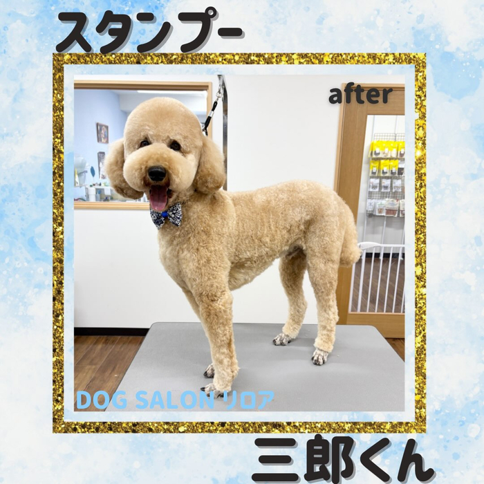画像6369