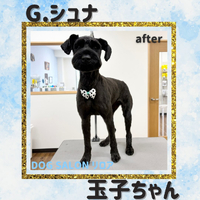 画像6375