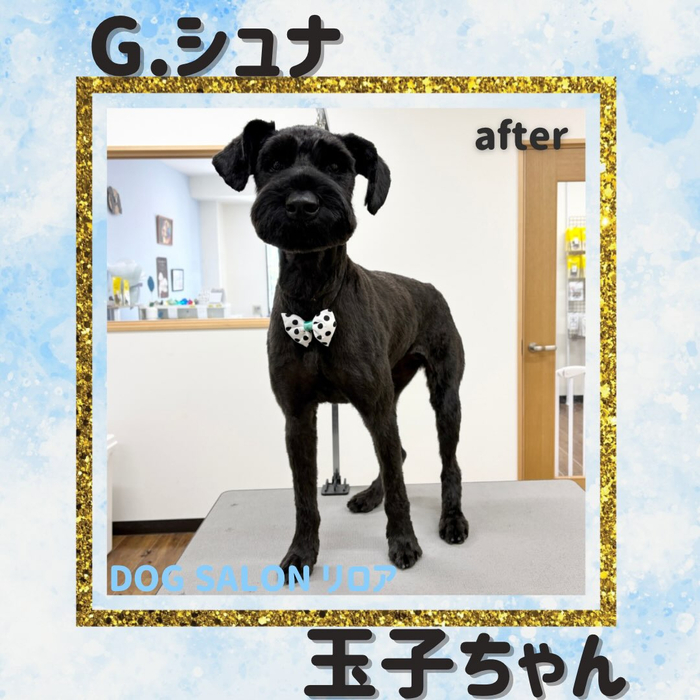 画像6375