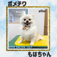 画像6387