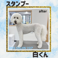 画像639