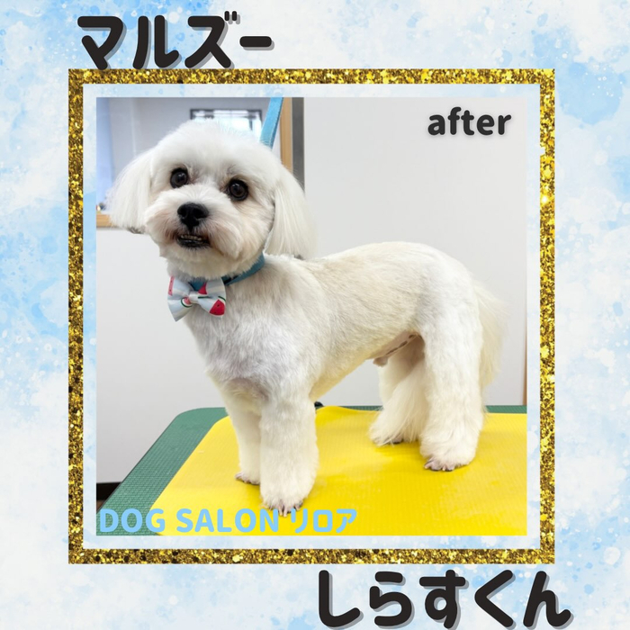 画像6393