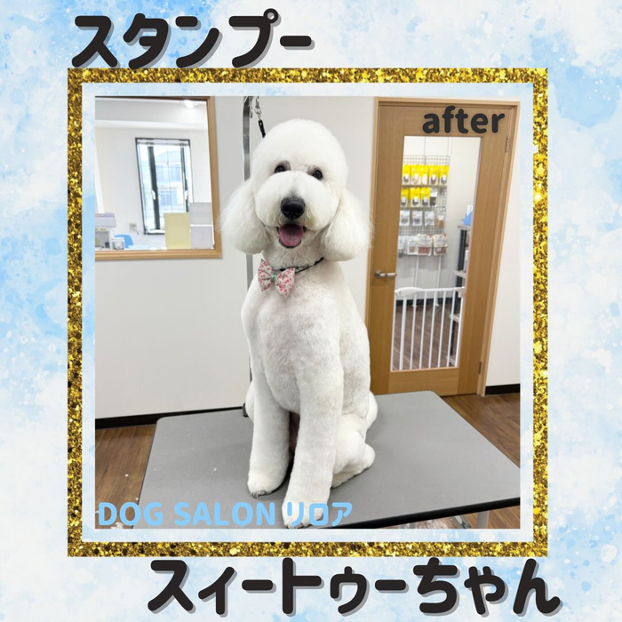 画像6399