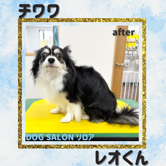 画像6442