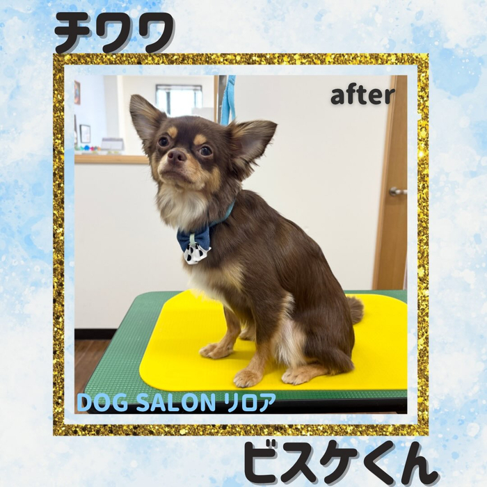 画像6478